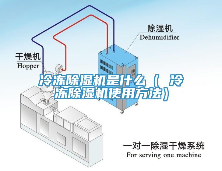 冷冻MR.好色破解版是什么（ 冷冻MR.好色破解版使用方法）