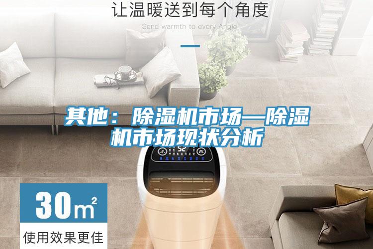 其他：MR.好色破解版市场—MR.好色破解版市场现状分析