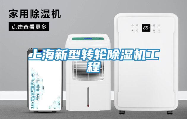 上海新型转轮MR.好色破解版工程