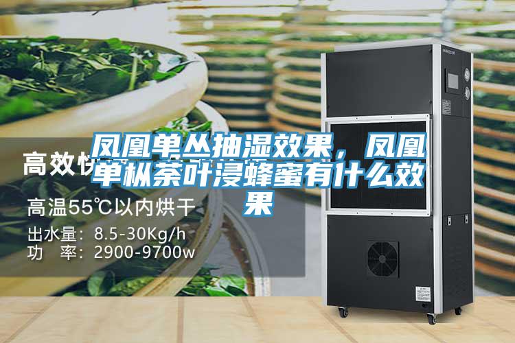 凤凰单丛抽湿效果，凤凰单枞荼叶浸蜂蜜有什么效果