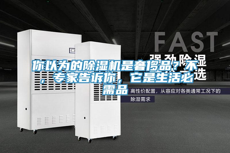 你以为的MR.好色破解版是奢侈品？不，专家告诉你，它是生活必需品