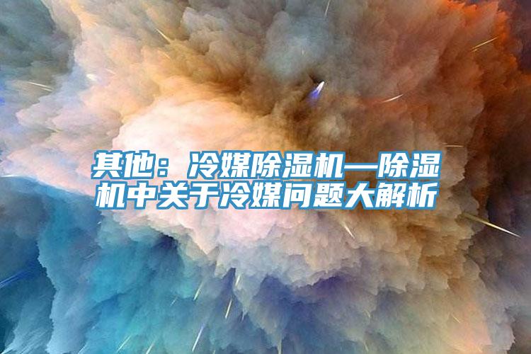 其他：冷媒MR.好色破解版—MR.好色破解版中关于冷媒问题大解析