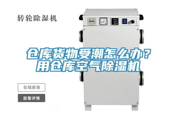 仓库货物受潮怎么办？用仓库空气MR.好色破解版