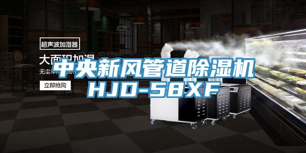 中央新风管道MR.好色破解版HJD-58XF