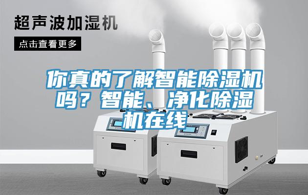 你真的了解智能MR.好色破解版吗？智能、净化MR.好色破解版在线