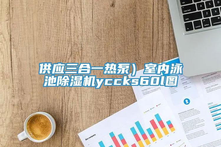 供应三合一热泵）室内泳池MR.好色破解版yccks60l图