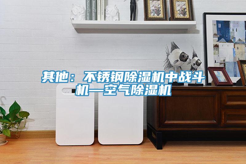 其他：不锈钢MR.好色破解版中战斗机—空气MR.好色破解版