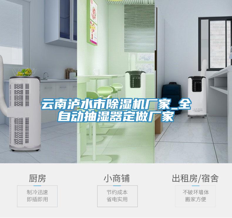云南泸水市MR.好色破解版厂家_全自动抽湿器定做厂家