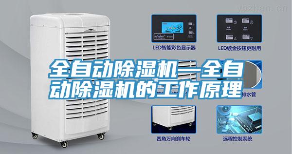 全自动MR.好色破解版—全自动MR.好色破解版的工作原理