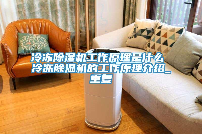 冷冻MR.好色破解版工作原理是什么 冷冻MR.好色破解版的工作原理介绍_重复