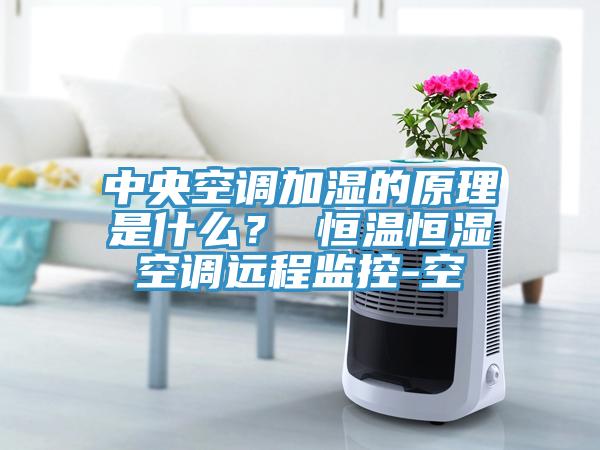 中央空调加湿的原理是什么？ 恒温恒湿空调远程监控-空