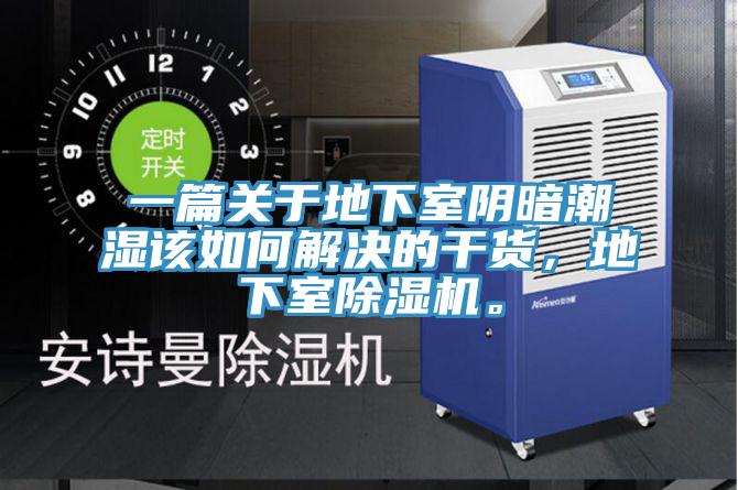 一篇关于地下室阴暗潮湿该如何解决的干货，地下室MR.好色破解版。
