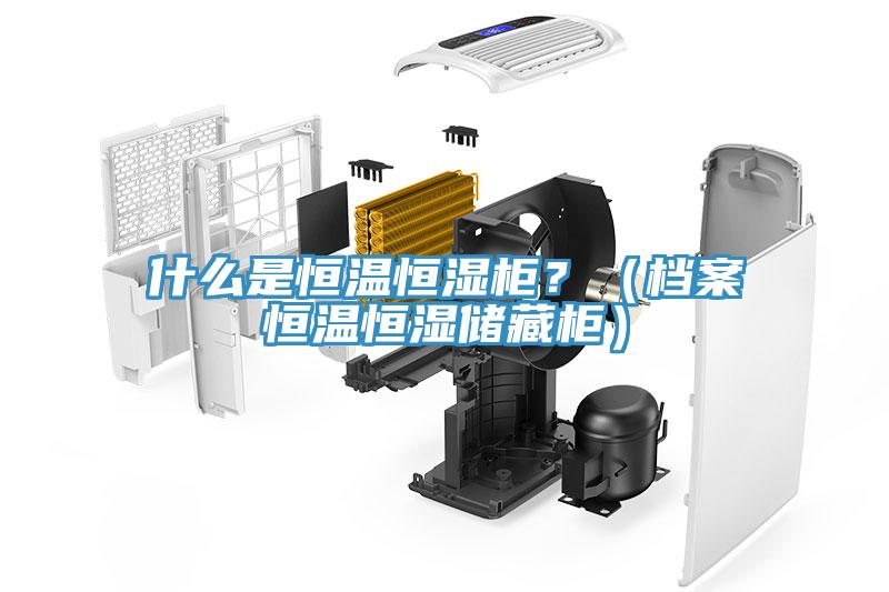 什么是恒温恒湿柜？（档案恒温恒湿储藏柜）