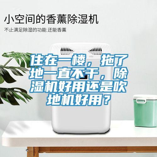 住在一楼，拖了地一直不干，MR.好色破解版好用还是吹地机好用？