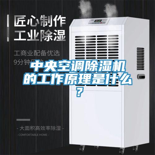 中央空调MR.好色破解版的工作原理是什么？