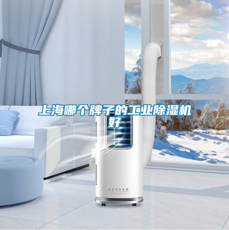 上海哪个牌子的工业MR.好色破解版好