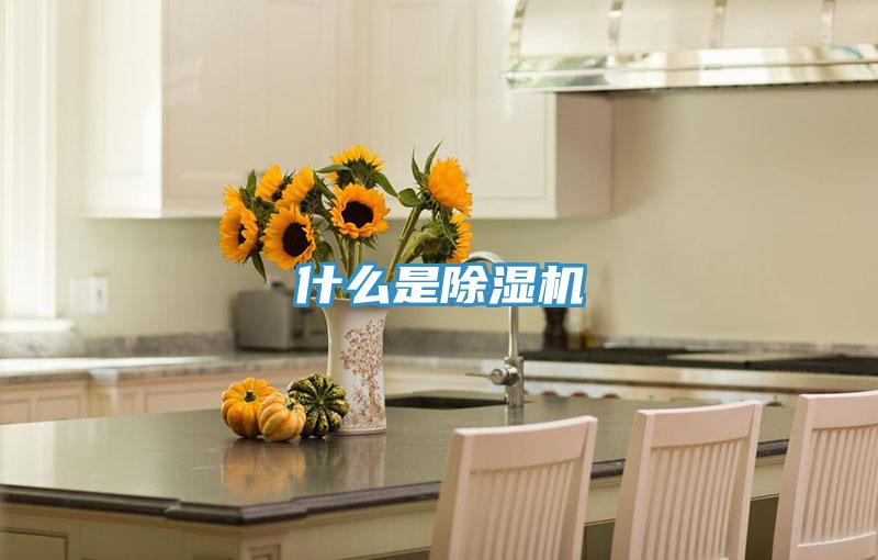什么是MR.好色破解版