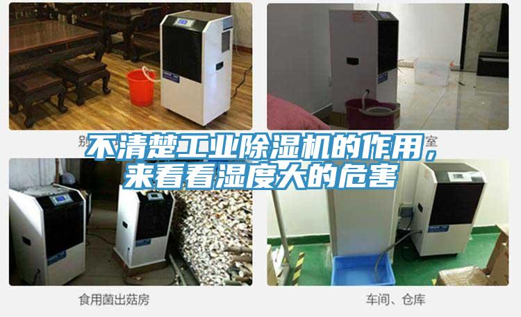 不清楚工业MR.好色破解版的作用，来看看湿度大的危害