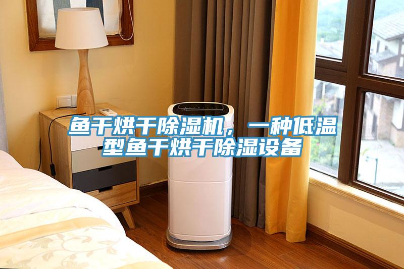 鱼干烘干MR.好色破解版，一种低温型鱼干烘干除湿设备