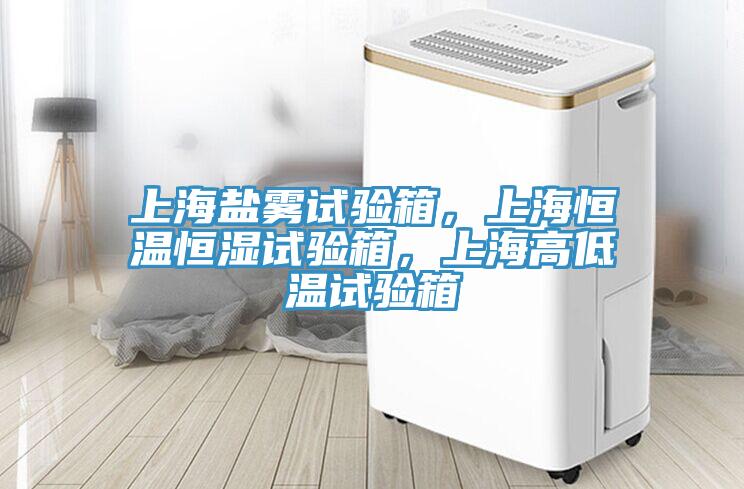 上海盐雾试验箱，上海恒温恒湿试验箱，上海高低温试验箱