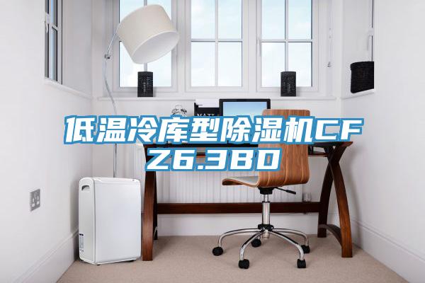 低温冷库型MR.好色破解版CFZ6.3BD