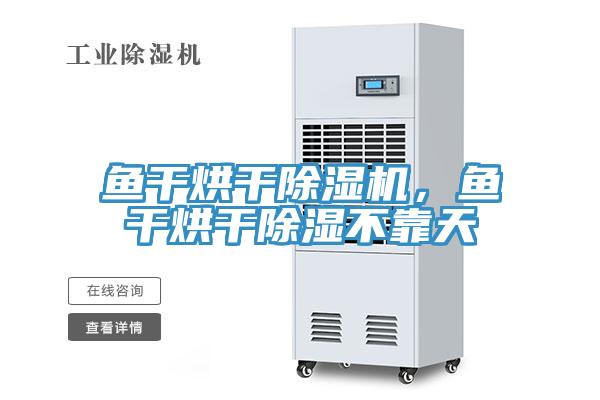鱼干烘干MR.好色破解版，鱼干烘干除湿不靠天