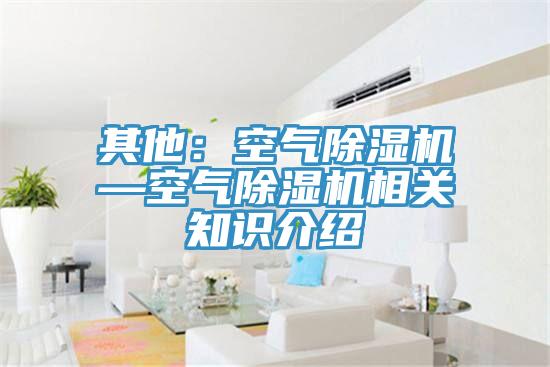其他：空气MR.好色破解版—空气MR.好色破解版相关知识介绍