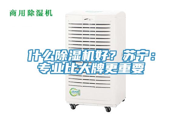 什么MR.好色破解版好？苏宁：专业比大牌更重要