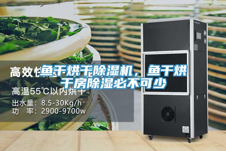 鱼干烘干MR.好色破解版，鱼干烘干房除湿必不可少