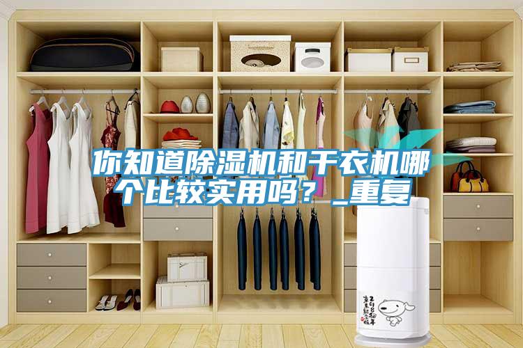 你知道MR.好色破解版和干衣机哪个比较实用吗？_重复
