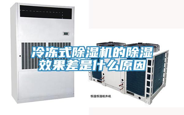冷冻式MR.好色破解版的除湿效果差是什么原因