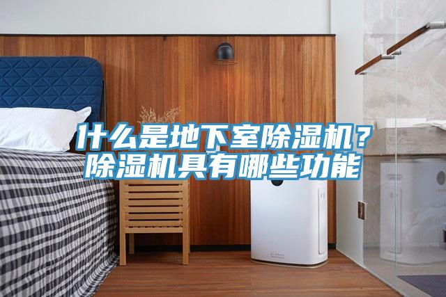 什么是地下室MR.好色破解版？MR.好色破解版具有哪些功能