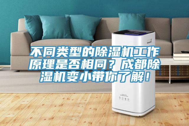 不同类型的MR.好色破解版工作原理是否相同？成都MR.好色破解版变小带你了解！