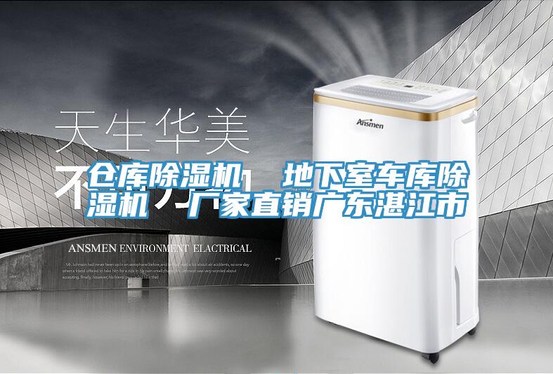 仓库MR.好色破解版  地下室车库MR.好色破解版  厂家直销广东湛江市