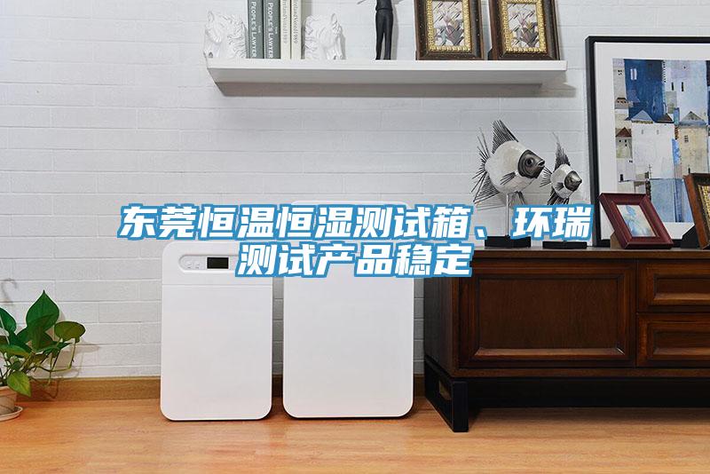东莞恒温恒湿测试箱、环瑞测试产品稳定