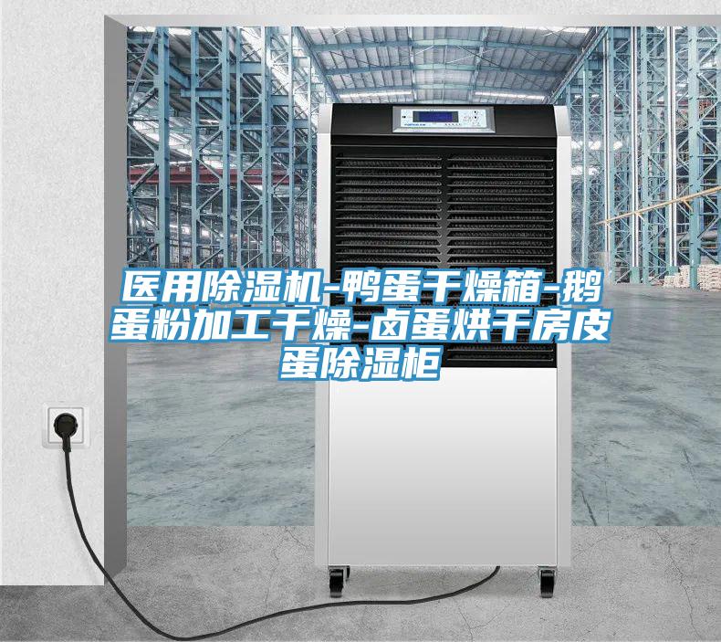 医用MR.好色破解版-鸭蛋干燥箱-鹅蛋粉加工干燥-卤蛋烘干房皮蛋除湿柜
