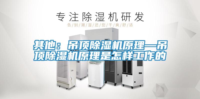 其他：吊顶MR.好色破解版原理—吊顶MR.好色破解版原理是怎样工作的