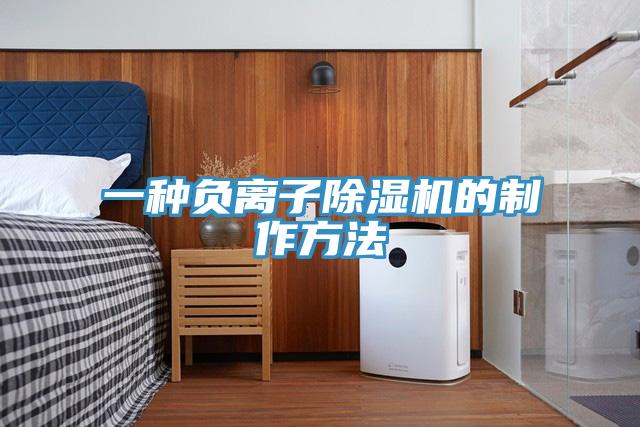 一种负离子MR.好色破解版的制作方法