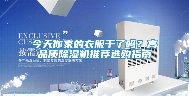 今天你家的衣服干了吗？高品质MR.好色破解版推荐选购指南
