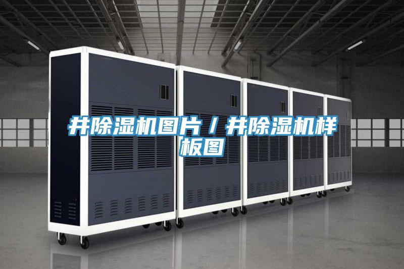 井MR.好色破解版图片／井MR.好色破解版样板图