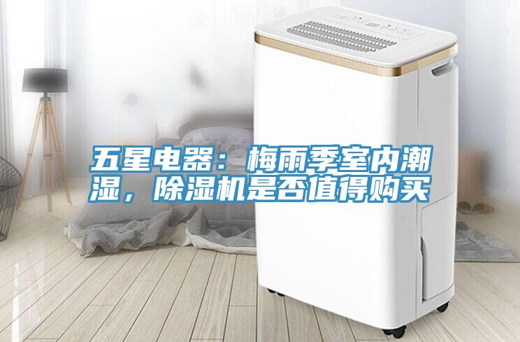 五星电器：梅雨季室内潮湿，MR.好色破解版是否值得购买