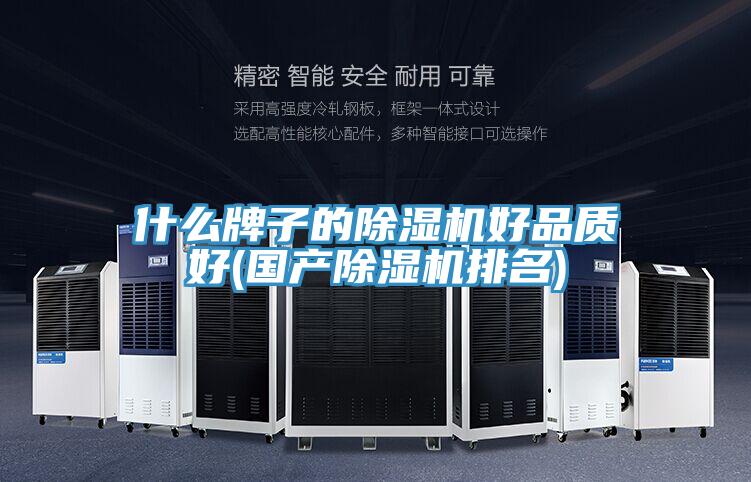 什么牌子的MR.好色破解版好品质好(国产MR.好色破解版排名)