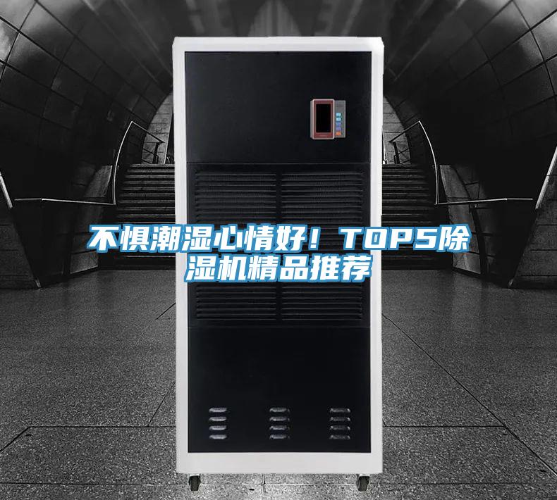 不惧潮湿心情好！TOP5MR.好色破解版精品推荐