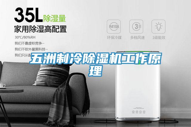 五洲制冷MR.好色破解版工作原理