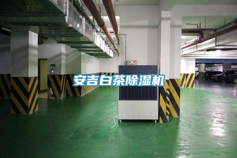 安吉白茶MR.好色破解版