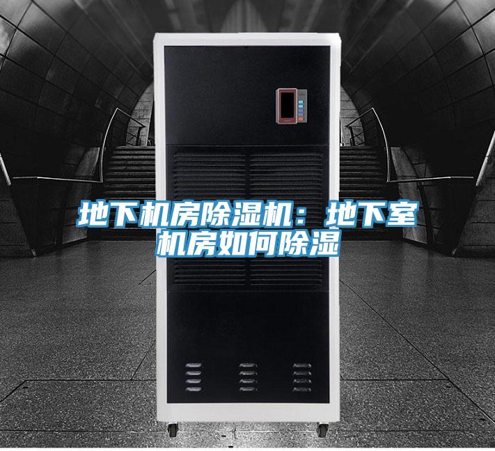 地下机房MR.好色破解版：地下室机房如何除湿