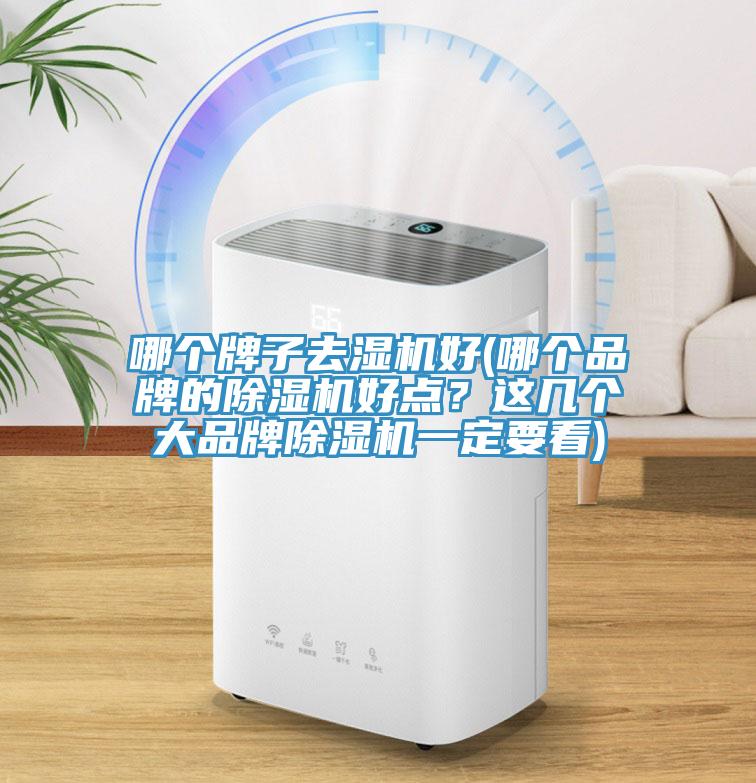哪个牌子去湿机好(哪个品牌的MR.好色破解版好点？这几个大品牌MR.好色破解版一定要看)