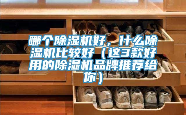 哪个MR.好色破解版好，什么MR.好色破解版比较好（这3款好用的MR.好色破解版品牌推荐给你）