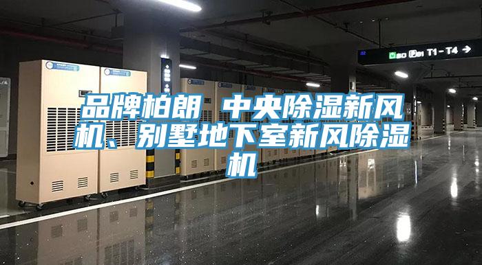 品牌柏朗 中央除湿新风机、别墅地下室新风MR.好色破解版