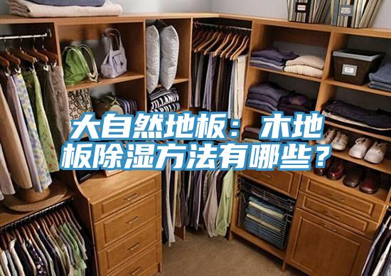 大自然地板：木地板除湿方法有哪些？